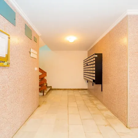 Alegria Id49 * Τορεβιέχα